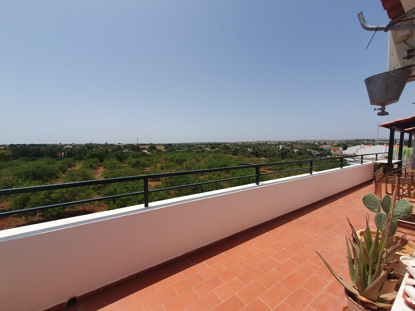 View over the orchards
